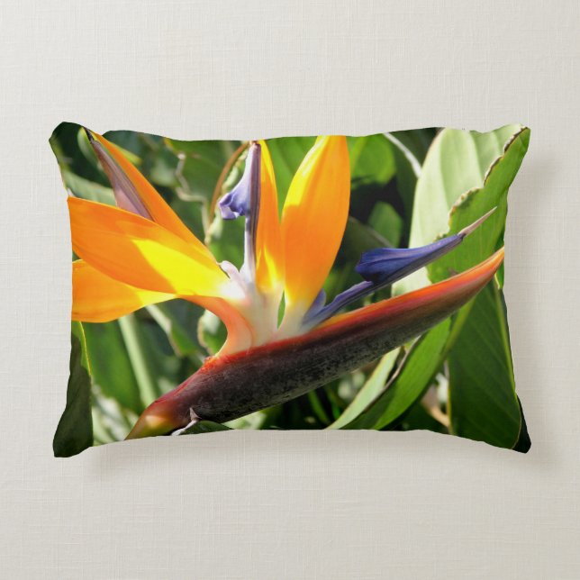 Tropical Bird of Paradise Decorative Cushion (Front)