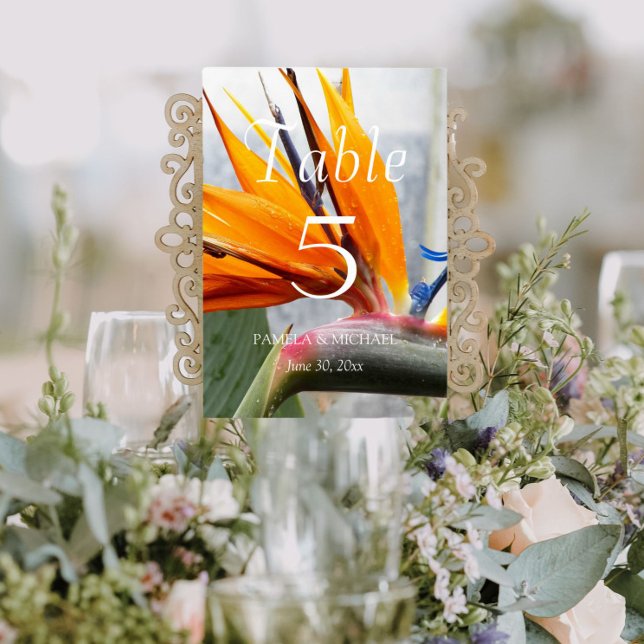 Tropical Bird of Paradise Floral Wedding Table Number (In Situ Wedding)