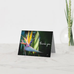Tropical Bird of Paradise Nature Photo Thank You Card