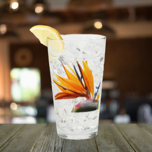 Tropical Bird of Paradise Plant Floral Glass