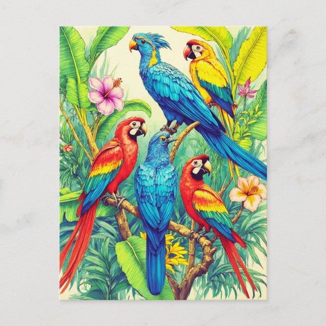 Tropical Birds Botanical Illustration Postcard (Front)