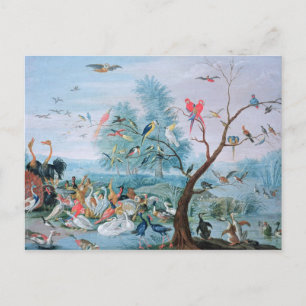 Tropical birds in a landscape postcard