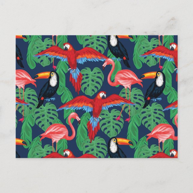 Tropical Birds In Bright Colours Postcard (Front)