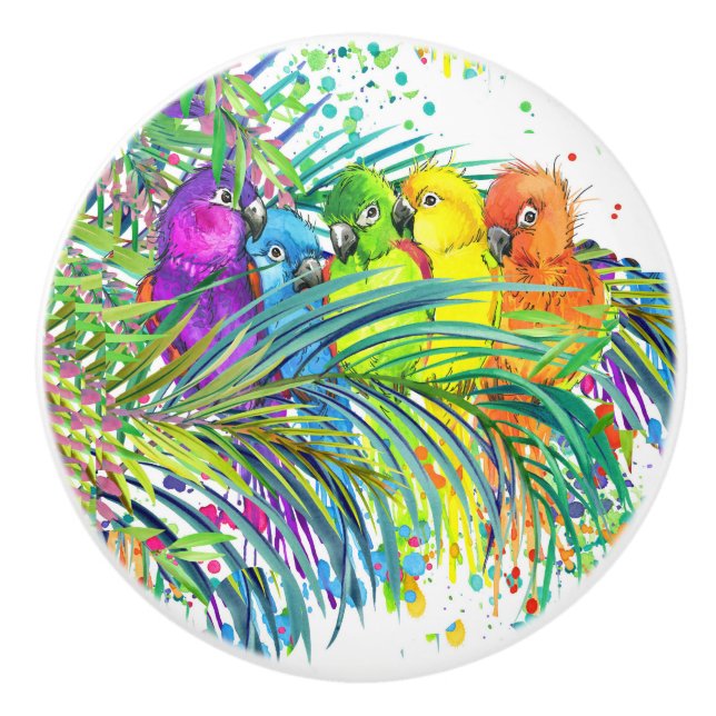 Tropical Birds of a Feather Ceramic Knobs (Front)