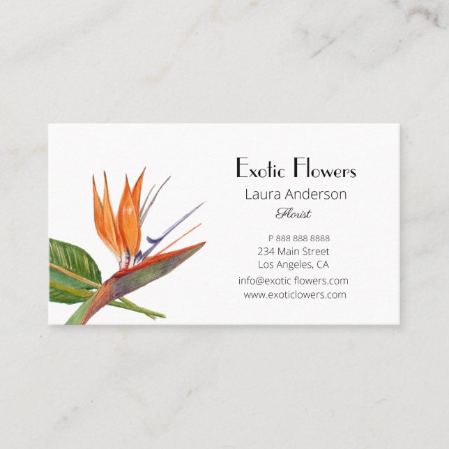 Tropical Birds of Paradise watercolor florist Business Card (Front)