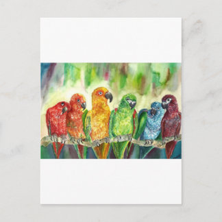 Tropical Birds Postcard