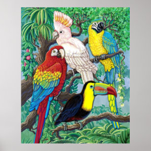 Tropical Birds Poster