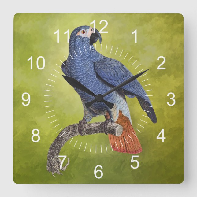 Tropical Birds Vintage Parrot Illustration Square Wall Clock (Front)