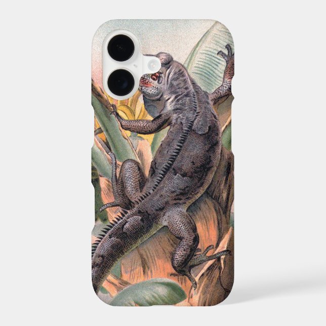 Tropical Black Iguana, Vintage Wild Reptile Animal (Back)