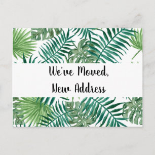 Tropical Black We’ve Moved New Address Postcard
