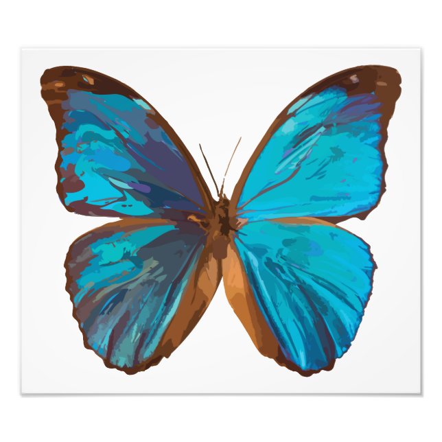 Tropical Blue and Turquoise Gem Butterfly Photo Print (Front)