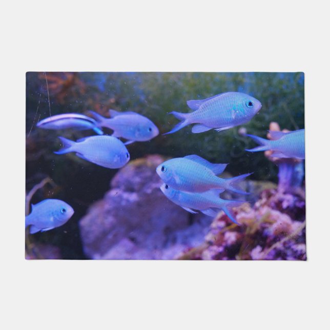 Tropical Blue Fish  Doormat (Front)