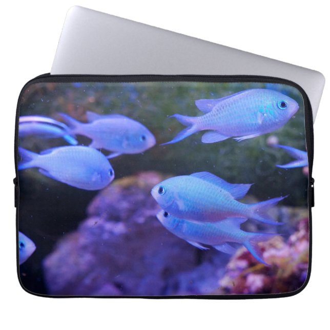 Tropical Blue Fish  Laptop Sleeve (Front)