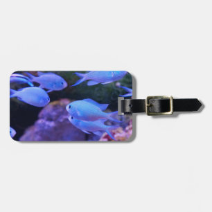 Tropical Blue Fish Luggage Tag