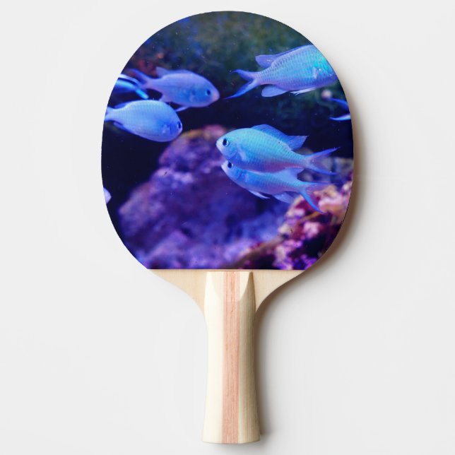 Tropical Blue Fish   Ping Pong Paddle (Front)