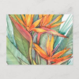 Tropical Botanical Paradise II Postcard
