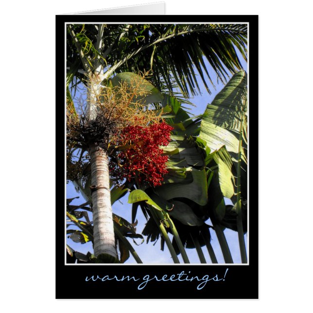 Tropical Breeze (Front)