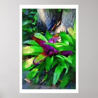 Tropical Bromeliads oil painting collection Poster