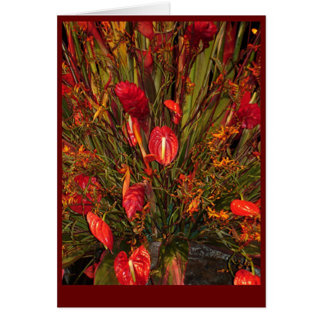 Tropical Burst (Front)