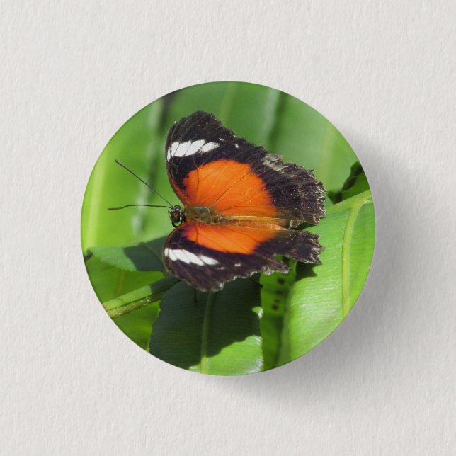 Tropical Butterfly Badge (Front)