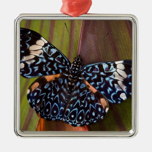 Tropical Butterfly Metal Tree Decoration (Front)