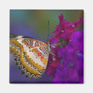 Tropical Butterfly on Purple Flowers Magnet