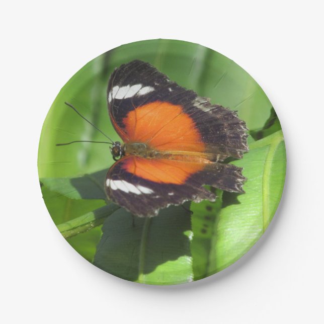 Tropical Butterfly Paper Plate (Front)