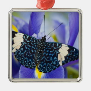 Tropical Butterfly Purple Iris Metal Tree Decoration