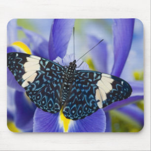 Tropical Butterfly Purple Iris Mouse Pad