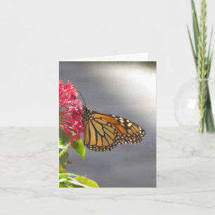 Tropical Butterfly Small Folded Greeting Card