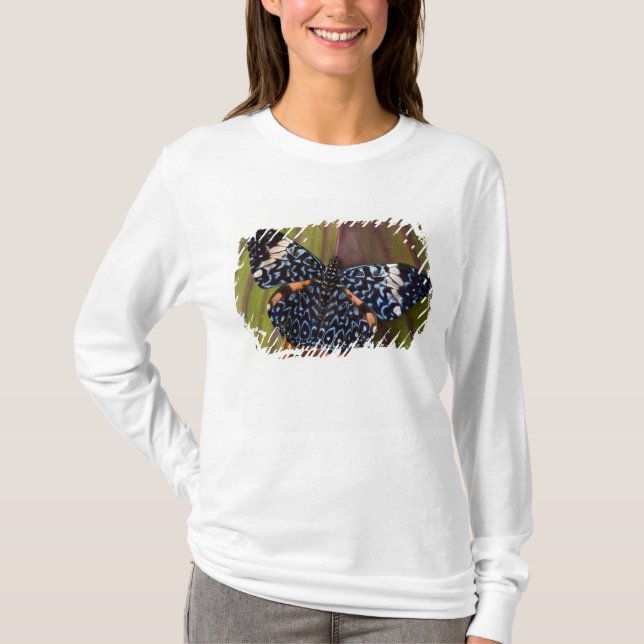 Tropical Butterfly T-Shirt (Front)