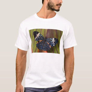 Tropical Butterfly T-Shirt