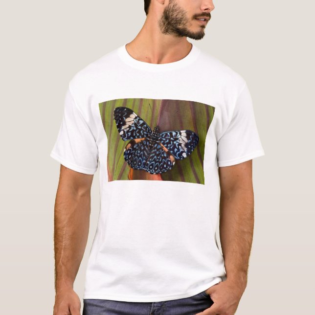 Tropical Butterfly T-Shirt (Front)