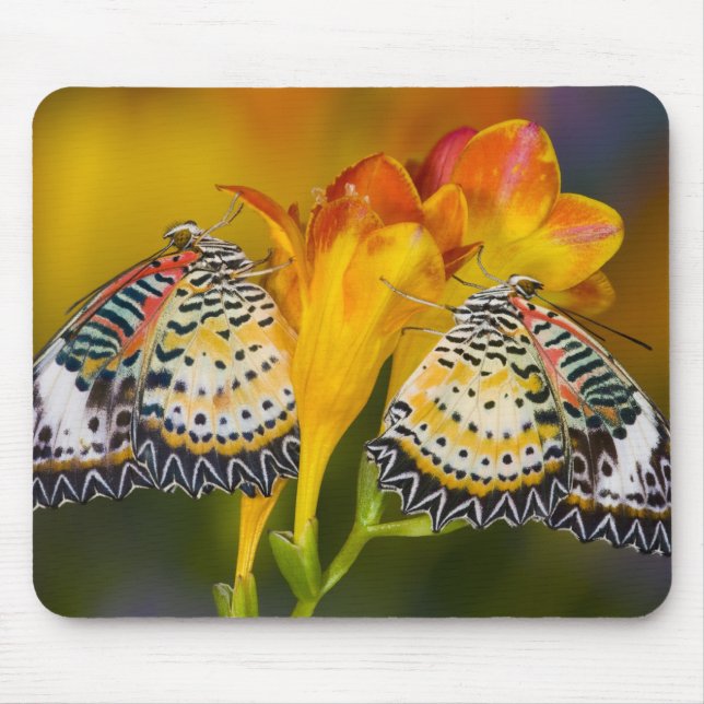 Tropical Butterfly Twins Mouse Pad (Front)