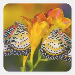 Tropical Butterfly Twins Square Sticker