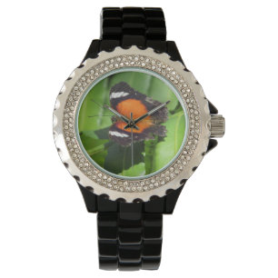 Tropical Butterfly Watch
