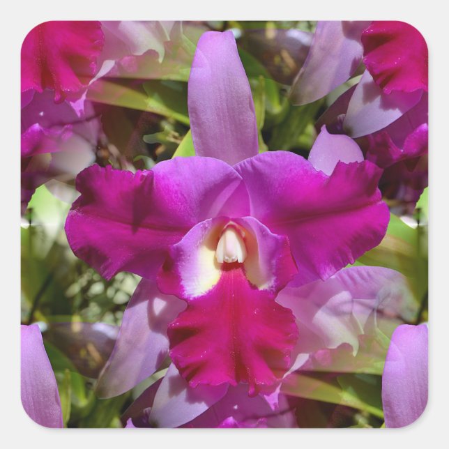 Tropical Cattleya Orchid Flower Square Sticker (Front)