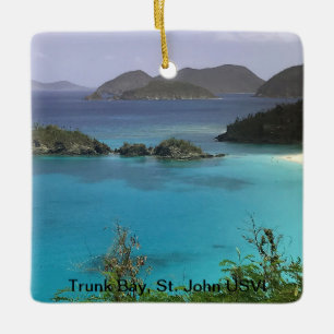 Tropical Christmas Ornament