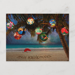 Tropical Christmas Ornaments Holiday Postcard