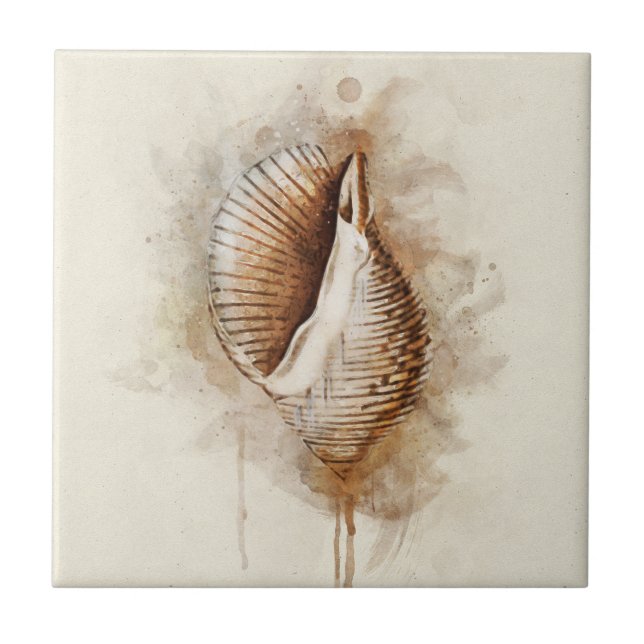 Tropical Coastal Beach Sea Shell Ceramic Tile (Front)