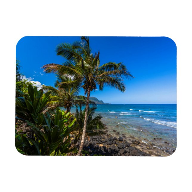 Tropical coastline magnet (Horizontal)