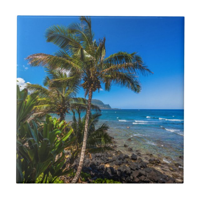 Tropical coastline tile (Front)
