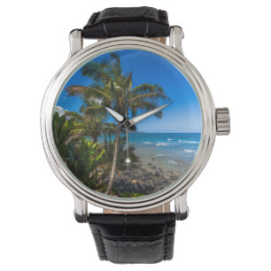Tropical coastline watch