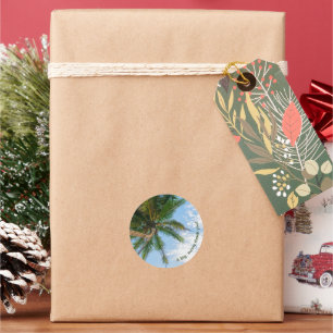 Tropical Coconut Palm Tree Under Blue Sky Classic Round Sticker