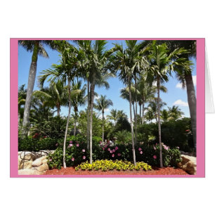 Tropical Coconut Plantation Bonita Springs Florida