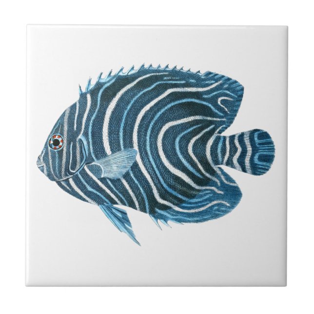 Tropical Coral Reef Fish Tile (Front)