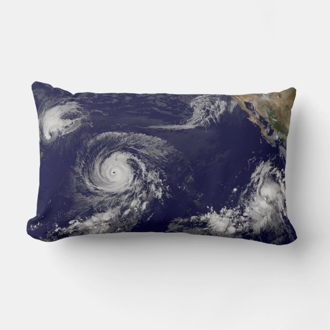 Tropical Cyclones Lumbar Cushion (Front)