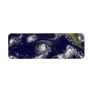 Tropical Cyclones Return Address Label
