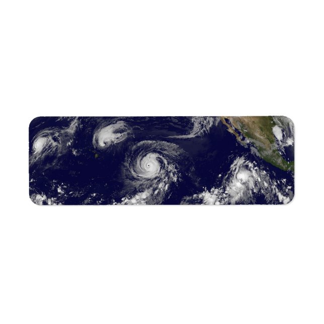 Tropical Cyclones Return Address Label (Front)