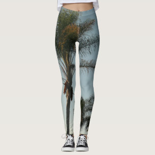 tropical date palm trees against azure sky leggings